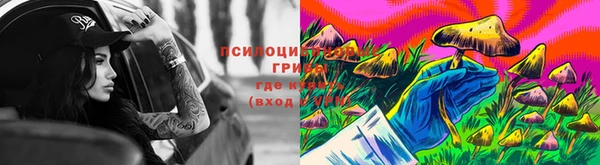 spice Вязьма