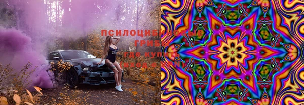 spice Вязьма