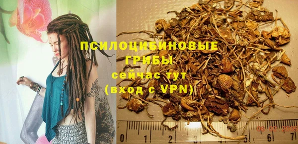 герыч Вяземский