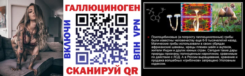 Купить закладки  Кашира  Галлюциногенные грибы Psilocybe 
